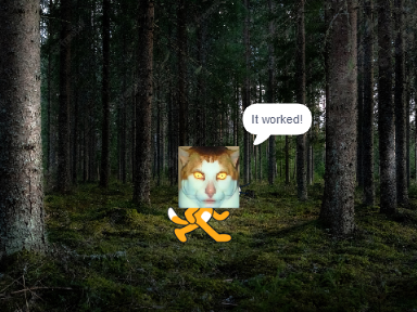 Cat freestyles in the forest