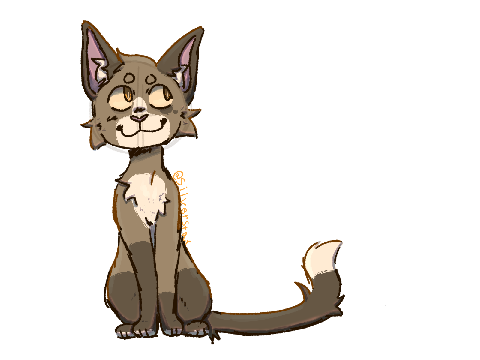 raffle thing