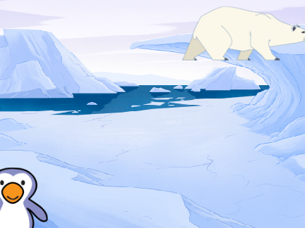 run bear run 