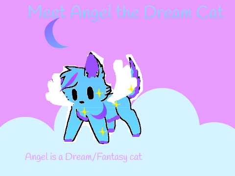 Meet Angel the Dream Cat