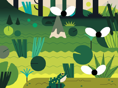 Frog Life- A Catcher Game