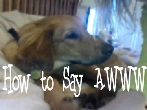 How to Say "AWWWWWWWW!!!!!"