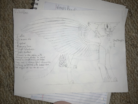Art Improvement Pictures!