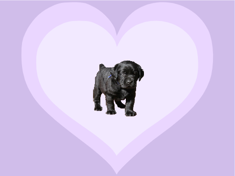 Puppy love!