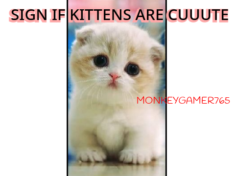 Remix and sign if kittens are cute!!