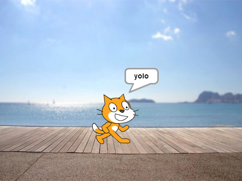 kitty catty yolo