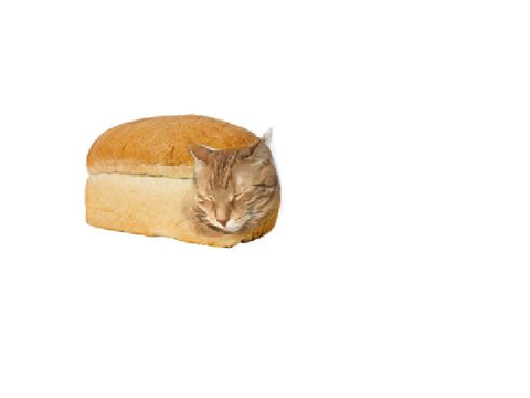 bread. 