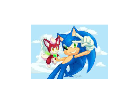 Sonic and chip