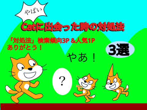 catに出会った時の対処法