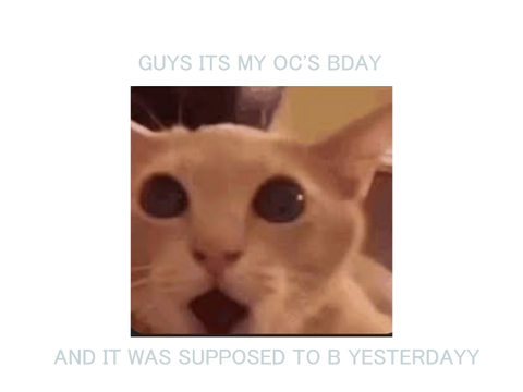 happy bday cloudie!!