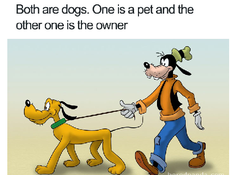 Funny memes that make sense