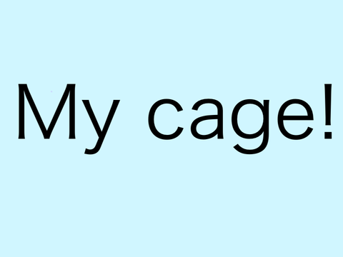 Submit your bird cages! remix