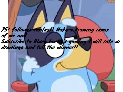 75+ follower contest 