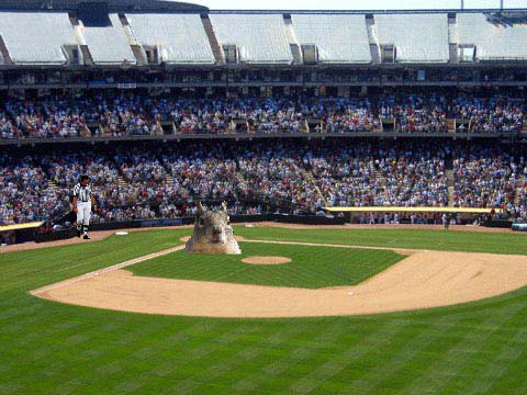 Rally Squirrel!