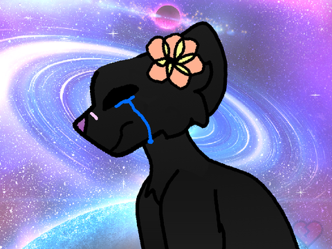 Iroh | NEW OC