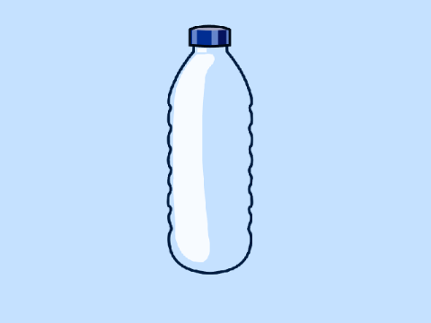 Bottle