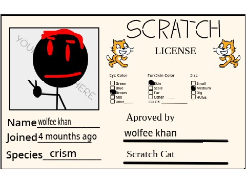 MY Scratch License remix