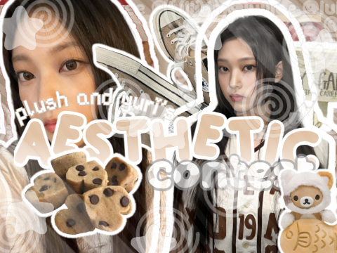 ᵖˡᵘˢʰ ᵃⁿᵈ ʸᵘʳⁱ'ˢ aesthetic contest