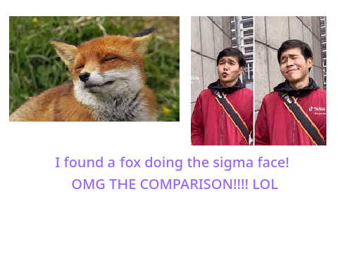 sigma face
