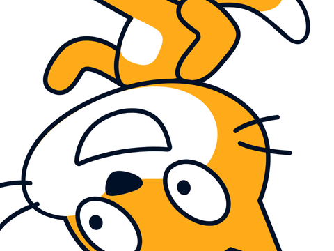spinning cat 2