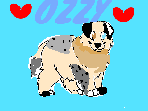 Ozzy the dog we love