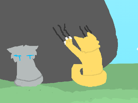 -KIDS- 5