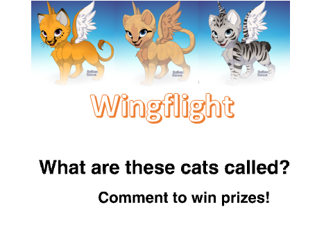 Quizzes
