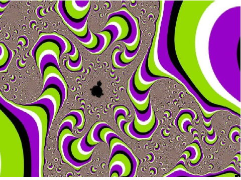 Optical Illusions!