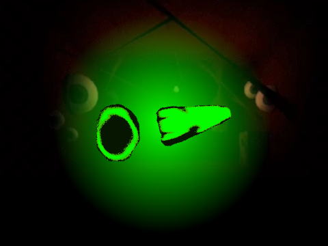 XFED-1