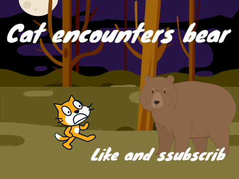 Cat encounters bear