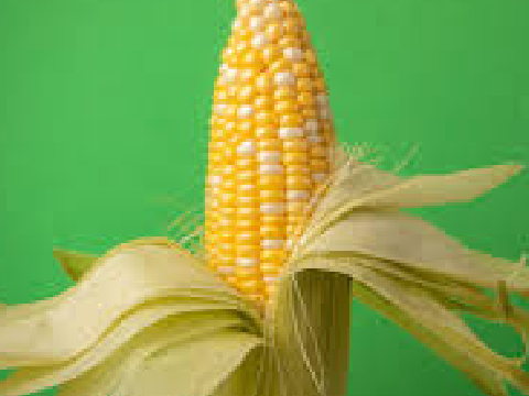 IT'S CORN