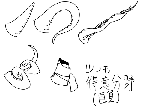 コメント欄