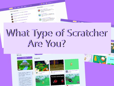What type of Scratcher are you?