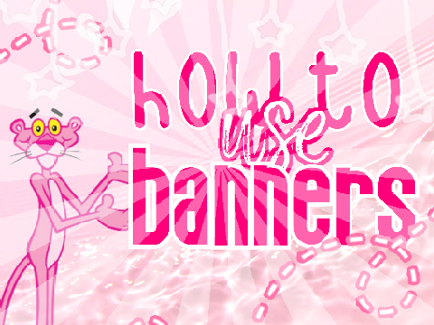 ✎ 0.1 ❝ how to use bnrs! ❞ ୨୧