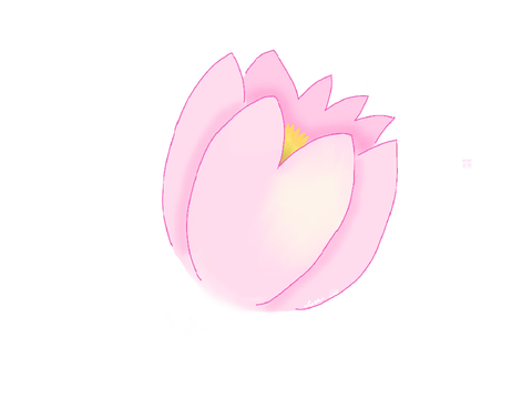 My entry