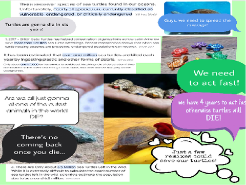Let's Save the Turtles!