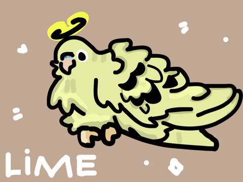 ❤️ Lime entry! - TRACK PAD DRAWING ❤️