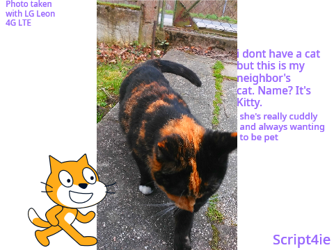 my neighbor's cat (Kitty)
