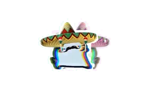 メキシコ猫 remix