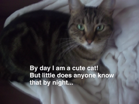 The story of FatCat (a hero) remix