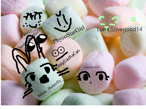 ADD yourself as a marshmallow...remix x6