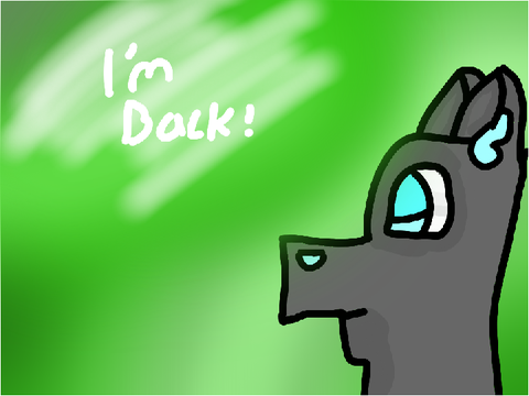 I'm Back!