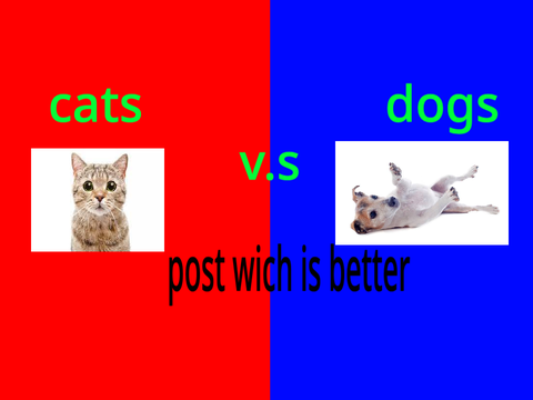 Cats V.S dogs
