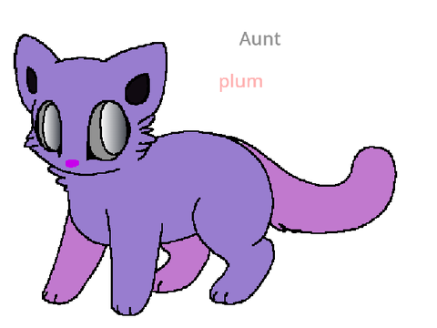 My aunts cat v.s mine again