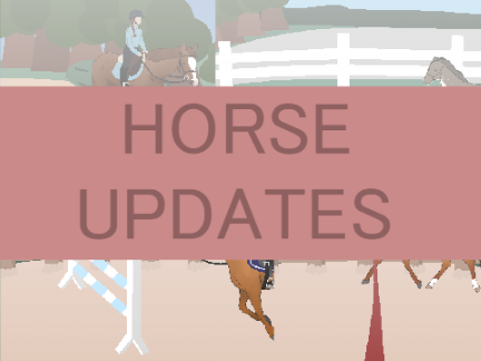 Updates with my horses ^^