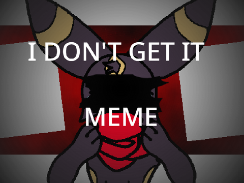 I Don't Get It Meme 