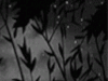 Project thumbnail