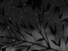 Project thumbnail