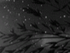 Project thumbnail