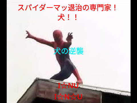 スパイダーマッ全集　＃スパイダーマン＃東映＃ニコニコ＃2012＃ネタ＃ネットのおもちゃ＃2022＃鬼畜すぎる男